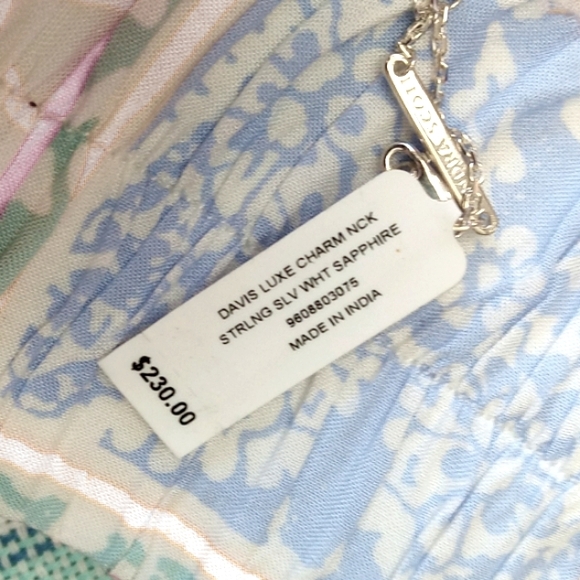 Kendra Scott 'Davis' Sterling Silver Luxe Charm Necklace - Picture 6 of 9